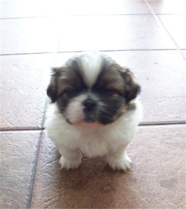 Oskar